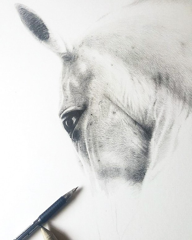 LRM_EXPORT_20180522_090003